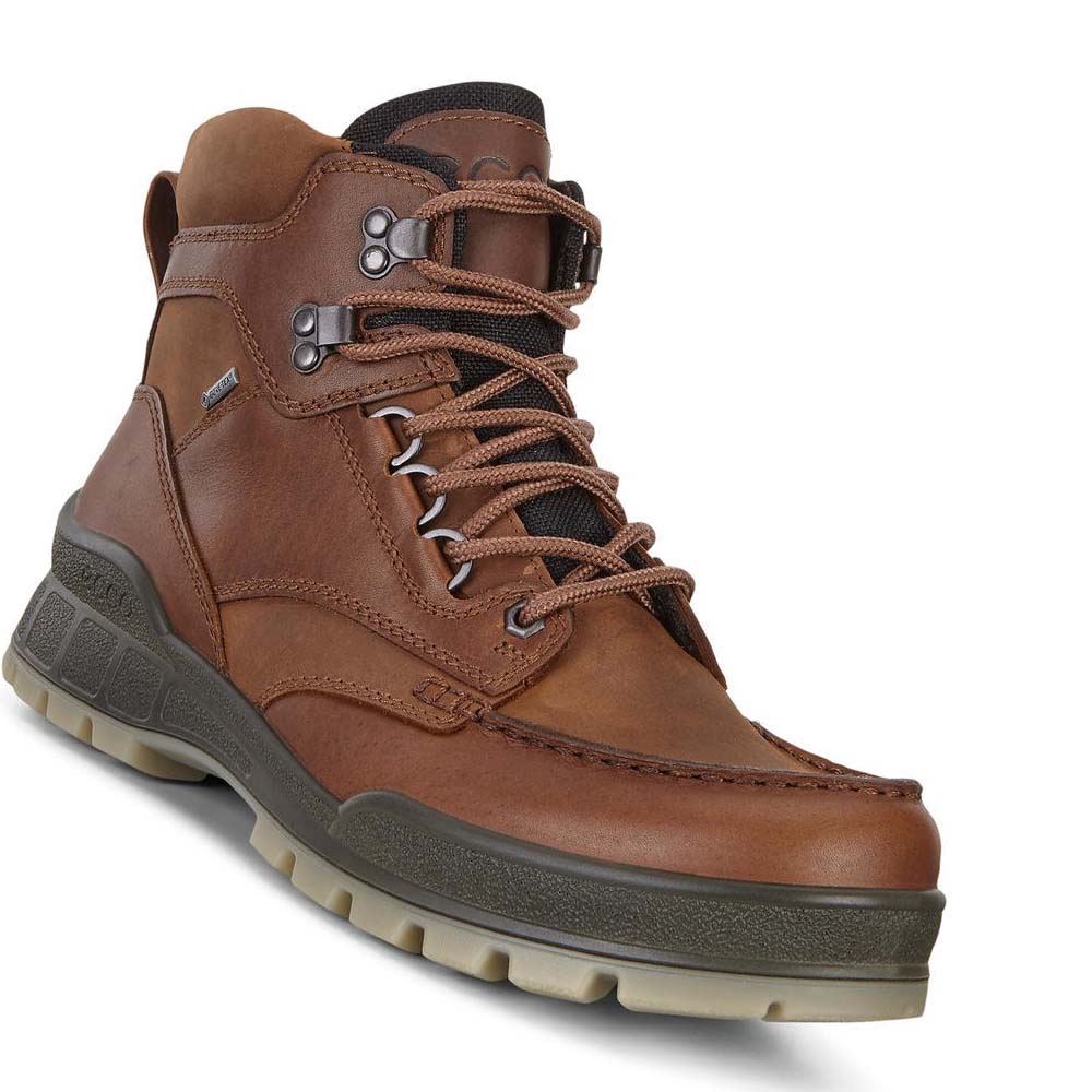 Ecco Track 25 High Hiking & Trail Herr Kaffe | SE 571FDN